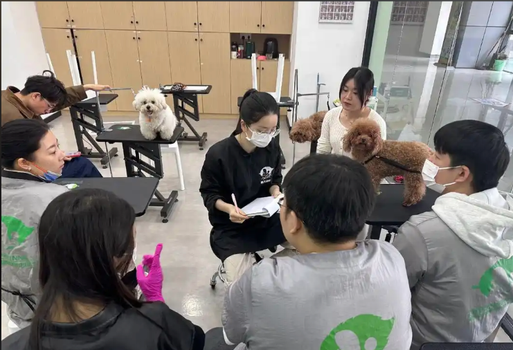 宜春市宠物美容师宠物美容培训学校 - 厂家